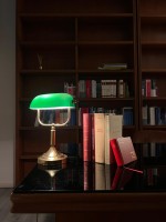 Avvocato Enzo Zuccaro