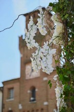 Avvocato Rachele Buciuni